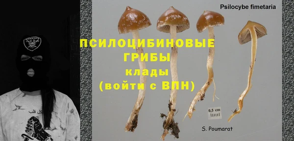 шишки Алзамай