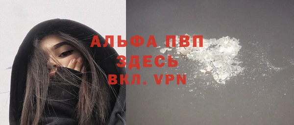 шишки Алзамай