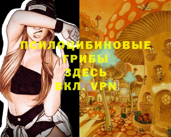 шишки Алзамай