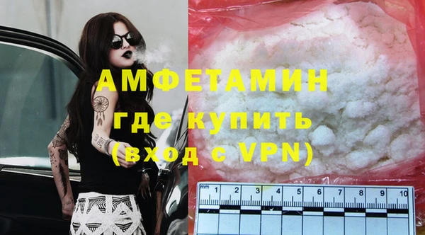 шишки Алзамай