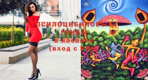 шишки Алзамай