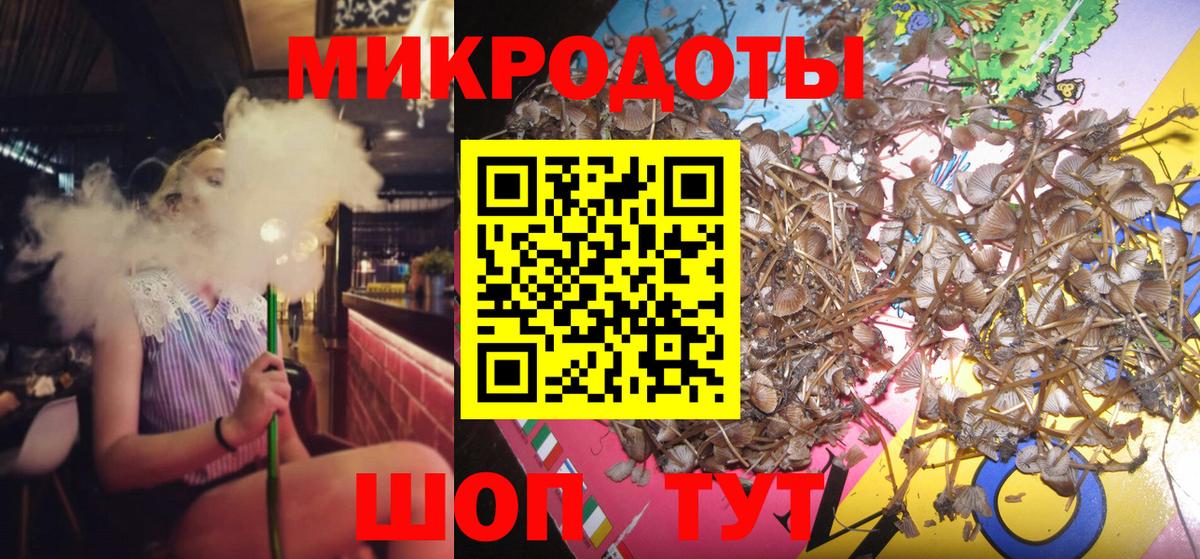 Шуя  Галлюциногенные грибы прущие грибы  Вход с VPN 