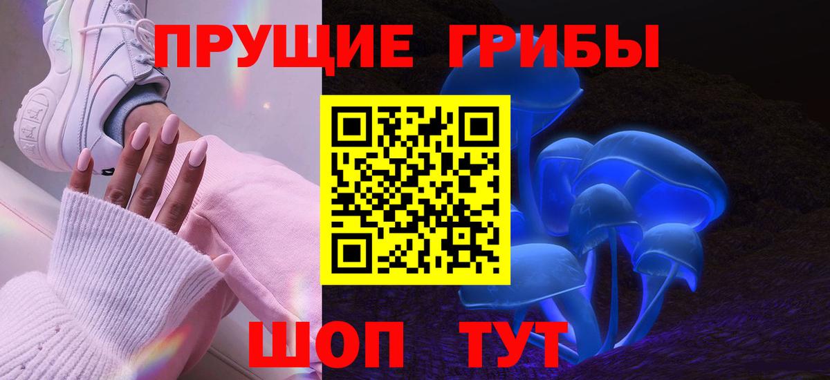 Псилоцибиновые грибы Cubensis Шуя