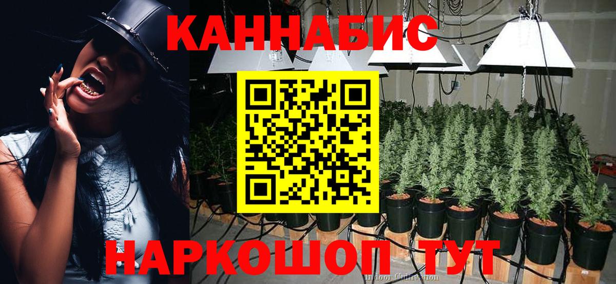 Шишки марихуана марихуана Шуя